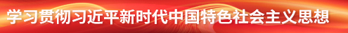 學習貫徹習近平新時代中國特色社會主義思想主題教育